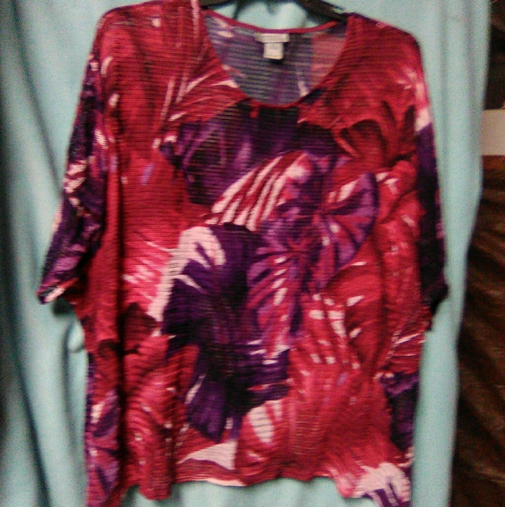 Catherine's top size 4x